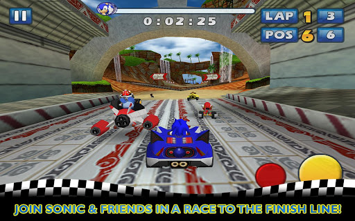 Sonic SEGA All-Stars Racing