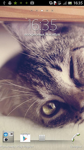 Kitty Live Wallpaper