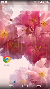 How to mod Sakura  Flower Free lastet apk for android
