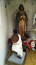 Altar A La Virgen Morena