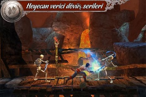  Prince of Persia Shadow&Flame  