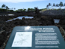 Anchialine Ponds Ecosystem Plaque