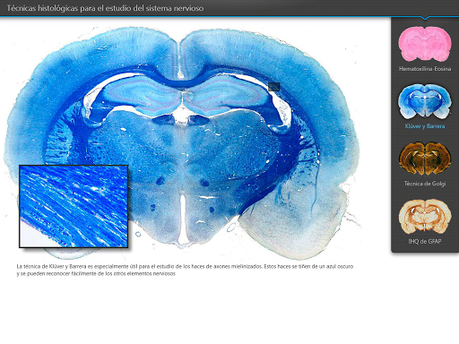 免費下載書籍APP|Atlas Interactivo Histología 5 app開箱文|APP開箱王