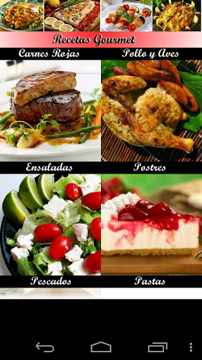 Recetas Gourmet