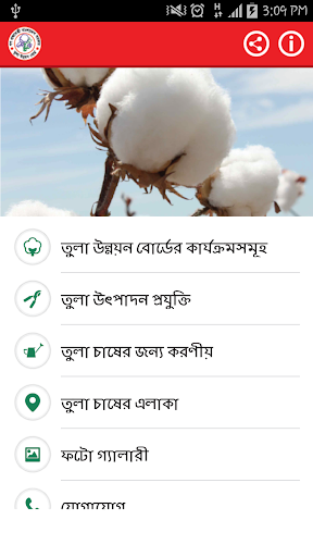 Cotton Cultivation