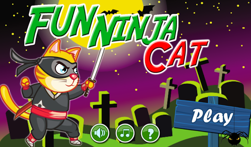 Fun Ninja Cat