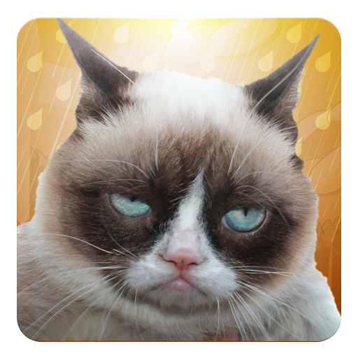 Grumpy Cat: Unimpressed 解謎 App LOGO-APP開箱王