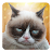 Download Grumpy Cat: Unimpressed APK for Windows