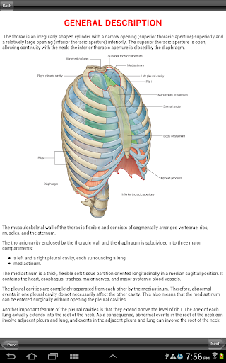 【免費醫療App】Gray's Back and Thorax-APP點子