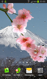 Rain live wallpaper poster 5