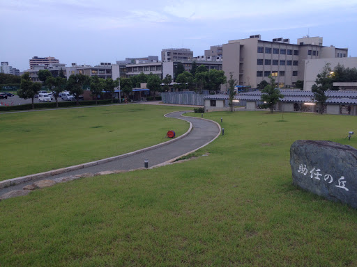 徳島大学 助任の丘