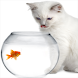Aquarium and Fish Care Tactics