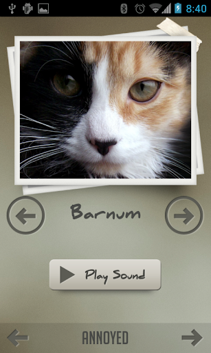 【免費娛樂App】Cat Sounds-APP點子