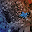Square Bird Download on Windows