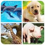 Cover Image of ダウンロード Animal Memory Game 2.0 APK