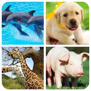 Animal Memory Game Hacks and cheats