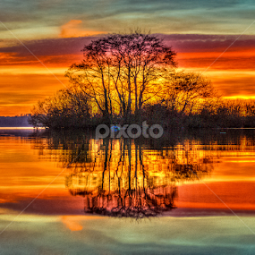 Mirror by Jesus Rivero - Landscapes Waterscapes