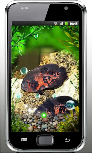 Aquarium Fish live wallpaper