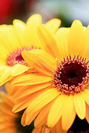 gerbera puzzle poster 4