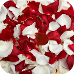 Rose petals Live Wallpaper Apk