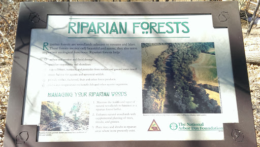 Riparian Forest
