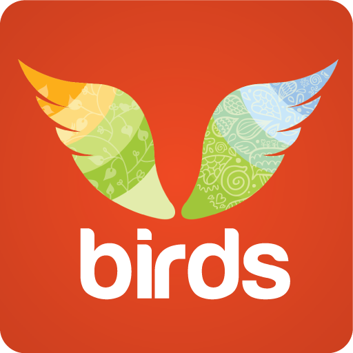 Birds LOGO-APP點子