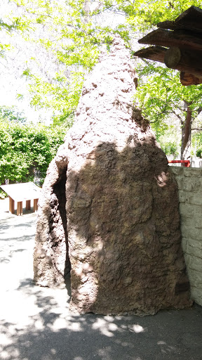Zoo Boise: Giant Termite Mound
