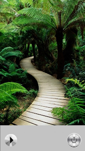 Free Download Relaxing Song - Insomnia APK for PC