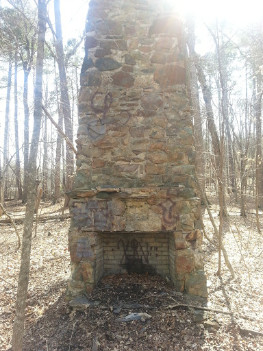 Chimney in the Woods