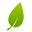 GeoNest Prototype Download on Windows