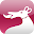 AMH-Guide Download on Windows