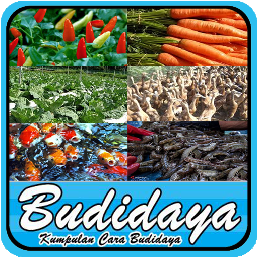 Panduan BUDIDAYA