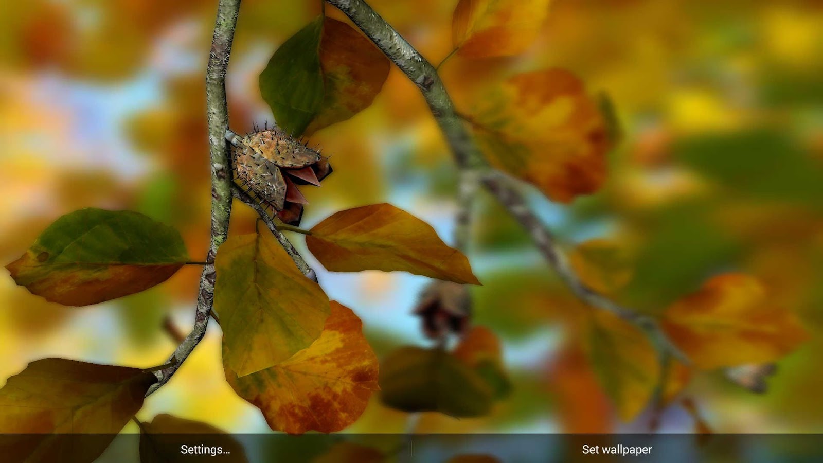 Autumn Leaves In HD Gyro 3D XL Parallax Wallpaper Apl Android Di