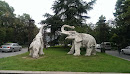 Elephants In Binjiang Park