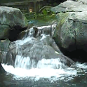 Waterfall logo