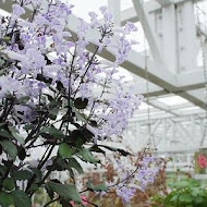 香草菲菲 芳香植物博物館