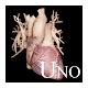 Cardiological Uno APK