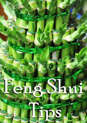 Feng Shui Tips For Business