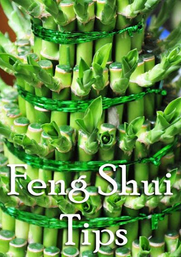 【免費書籍App】Feng Shui Tips For Business-APP點子