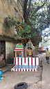 Golden Banyan Tree Shrine