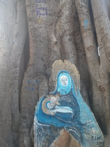 Mother Teresa Tree