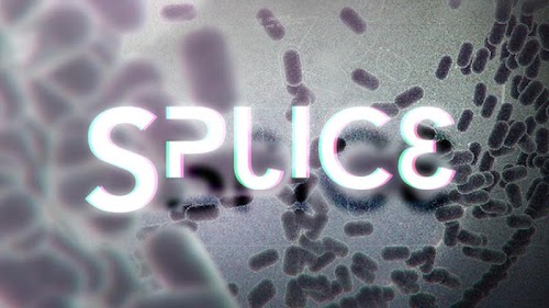 Android application Splice screenshort
