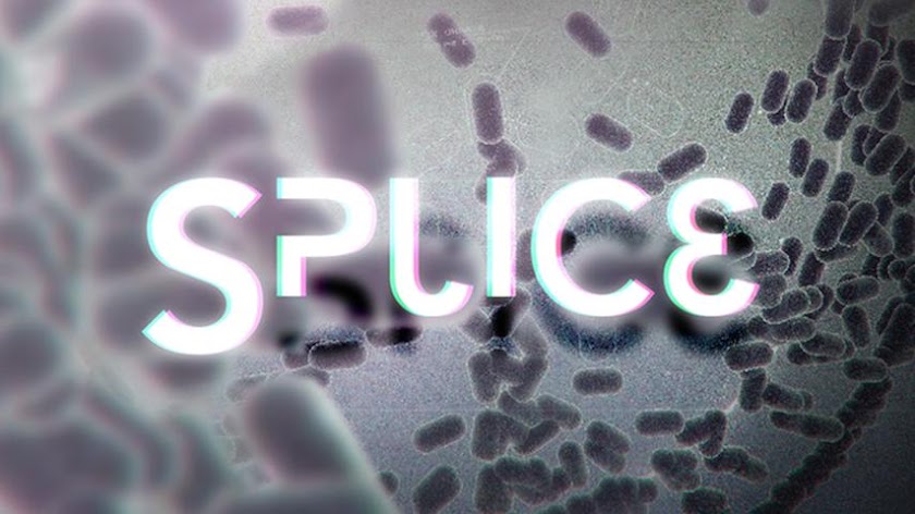 Splice Screen 1