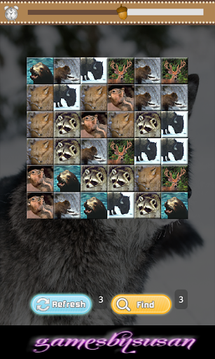 【免費休閒App】American Wild Animals Match-APP點子