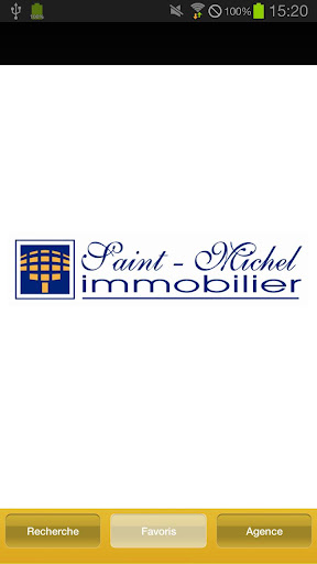 Saint Michel Immobilier