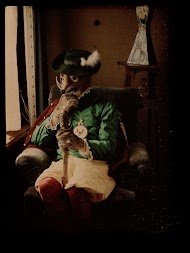 Person Dressed Up as a Fox