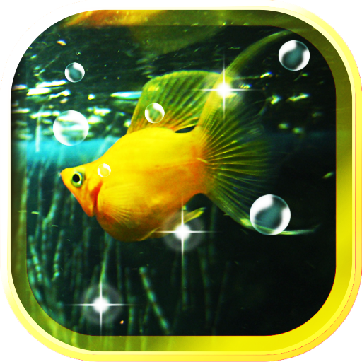 Aquarium Best live wallpaper 個人化 App LOGO-APP開箱王