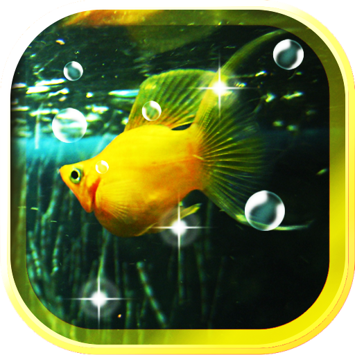 Aquarium Best live wallpaper LOGO-APP點子