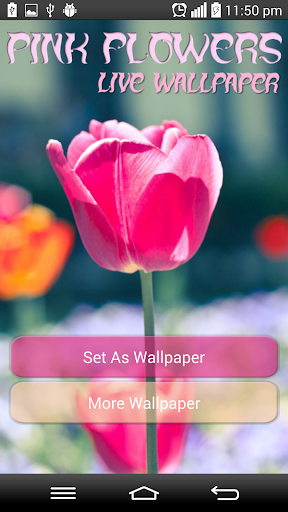 Pink Flowers Live Wallpaper