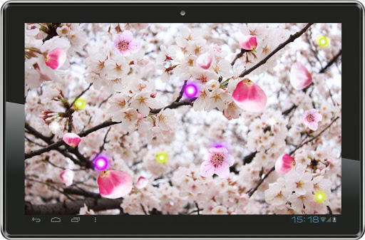 【免費個人化App】Sakura Photo live wallpaper-APP點子